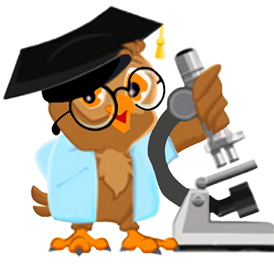 МИКРОСКОПИЯ НАТИВНОЙ КРОВИ. ОСНОВНОЙ КУРС. ТЕМЫ с 4 по 6. 1757